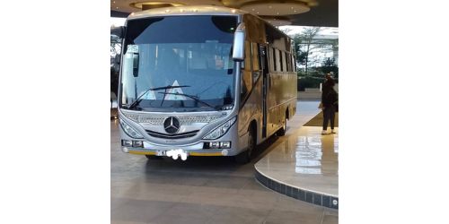 Cleo Pradox services